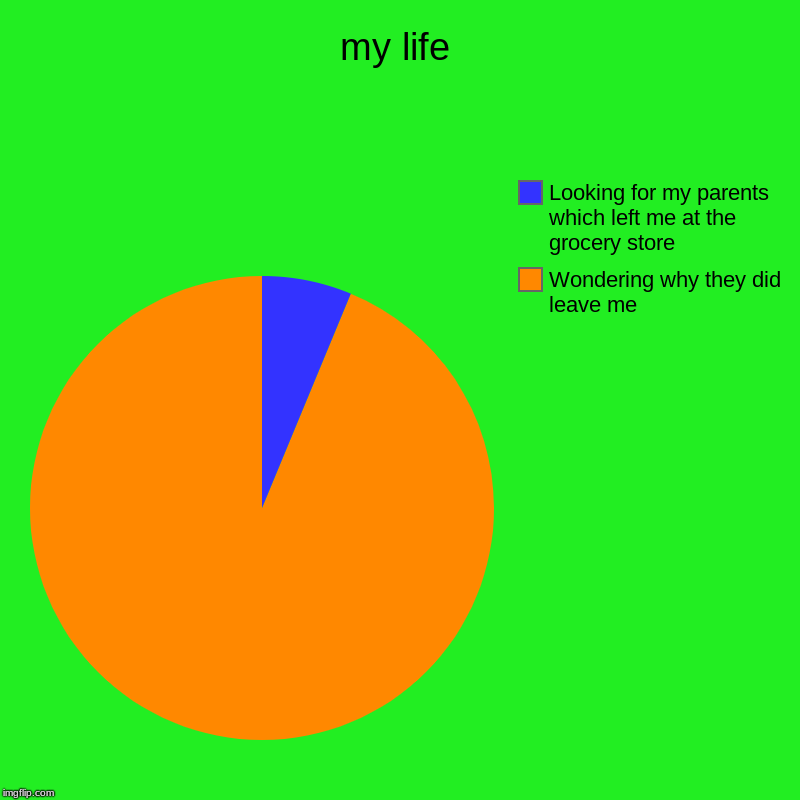 my life | Wondering why they did leave me, Looking for my parents which left me at the grocery store | image tagged in charts,pie charts | made w/ Imgflip chart maker