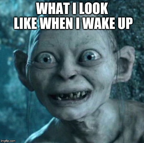Gollum Meme | WHAT I LOOK LIKE WHEN I WAKE UP | image tagged in memes,gollum | made w/ Imgflip meme maker