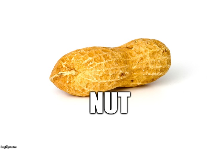 Nut | NUT | image tagged in nuts | made w/ Imgflip meme maker