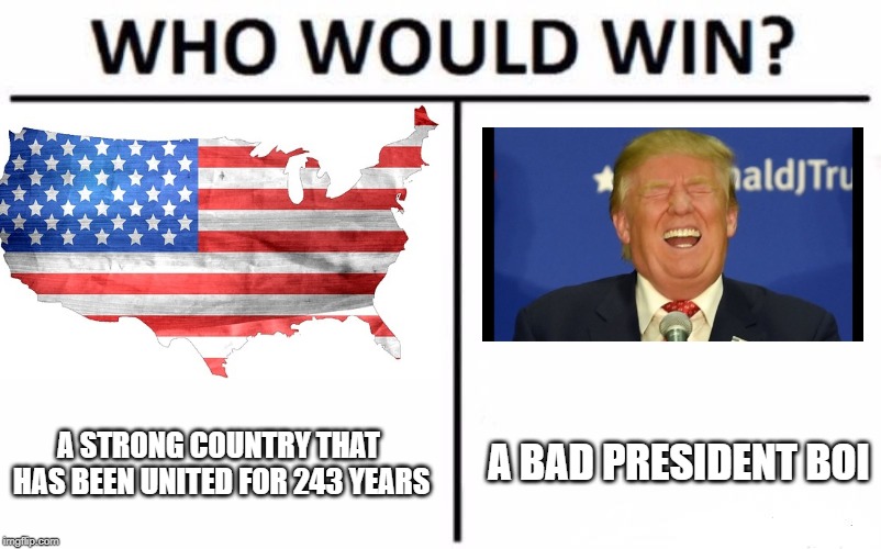 Trump vs. America | A BAD PRESIDENT BOI; A STRONG COUNTRY THAT HAS BEEN UNITED FOR 243 YEARS | image tagged in memes,who would win | made w/ Imgflip meme maker