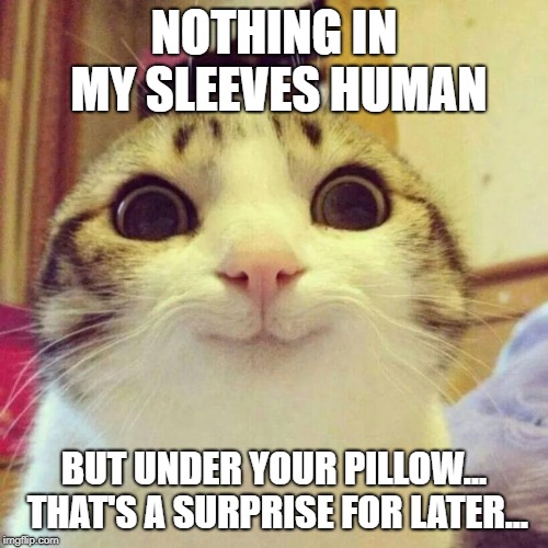 Smiling Cat Meme | NOTHING IN MY SLEEVES HUMAN; BUT UNDER YOUR PILLOW... THAT'S A SURPRISE FOR LATER... | image tagged in memes,smiling cat | made w/ Imgflip meme maker