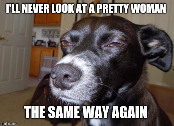 Suspicious dog | I'LL NEVER LOOK AT A PRETTY WOMAN THE SAME WAY AGAIN | image tagged in suspicious dog | made w/ Imgflip meme maker