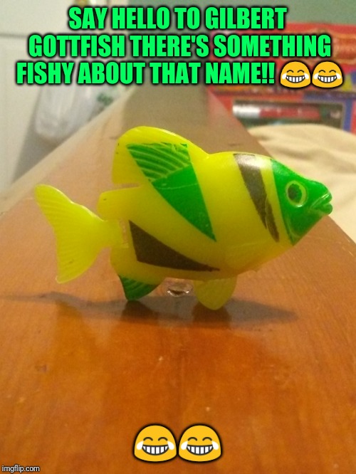 Plastic fish | SAY HELLO TO GILBERT GOTTFISH THERE'S SOMETHING FISHY ABOUT THAT NAME!! 😂😂; 😂😂 | image tagged in fish | made w/ Imgflip meme maker