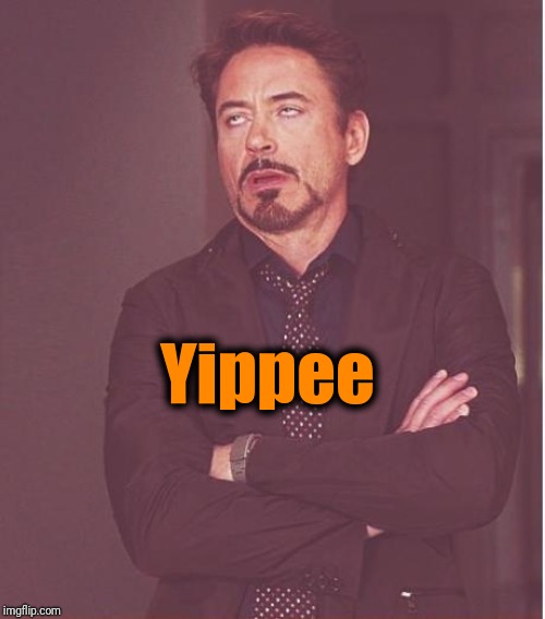 Face You Make Robert Downey Jr Meme | Yippee | image tagged in memes,face you make robert downey jr | made w/ Imgflip meme maker