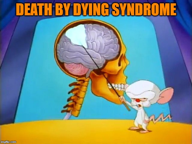 the brain | DEATH BY DYING SYNDROME | image tagged in the brain | made w/ Imgflip meme maker