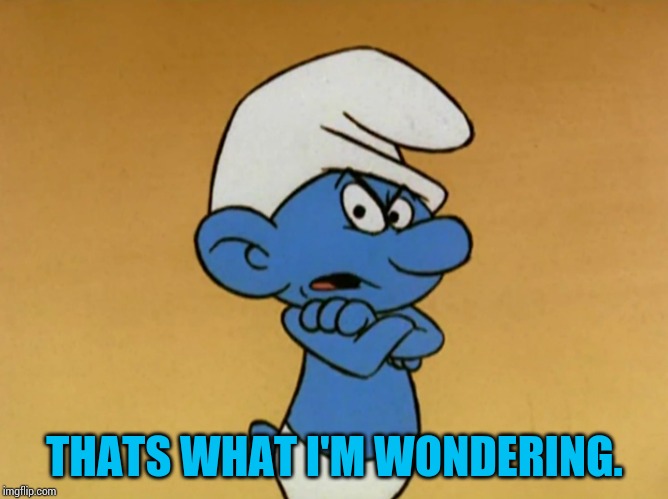 Grouchy Smurf | THATS WHAT I'M WONDERING. | image tagged in grouchy smurf | made w/ Imgflip meme maker