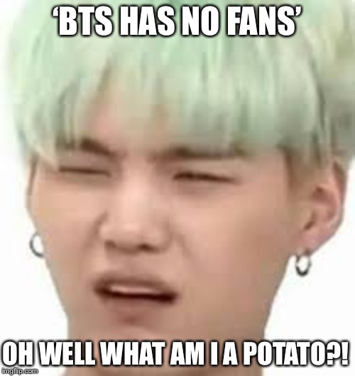 aRMY??? | ‘BTS HAS NO FANS’; OH WELL WHAT AM I A POTATO?! | image tagged in army | made w/ Imgflip meme maker