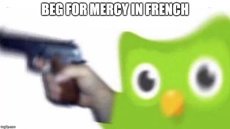 duolingo gun | BEG FOR MERCY IN FRENCH | image tagged in duolingo gun | made w/ Imgflip meme maker