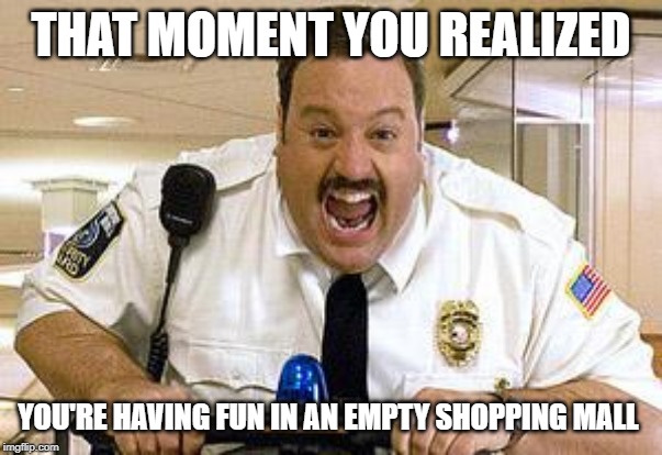 Mall Cop | THAT MOMENT YOU REALIZED; YOU'RE HAVING FUN IN AN EMPTY SHOPPING MALL | image tagged in mall cop | made w/ Imgflip meme maker