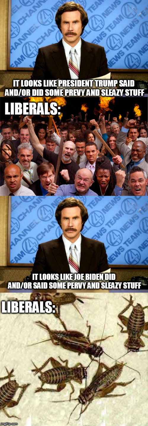 Yeah I don't understand the logic either. | IT LOOKS LIKE PRESIDENT TRUMP SAID AND/OR DID SOME PREVY AND SLEAZY STUFF; LIBERALS:; IT LOOKS LIKE JOE BIDEN DID AND/OR SAID SOME PERVY AND SLEAZY STUFF; LIBERALS: | image tagged in joe biden,donald trump,liberal hypocrisy | made w/ Imgflip meme maker