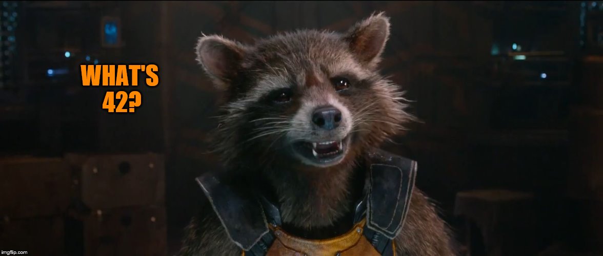 Rocket Racoon | WHAT'S 42? | image tagged in rocket racoon | made w/ Imgflip meme maker