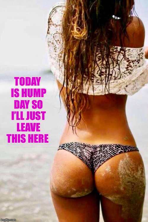 Public Service Announcement | TODAY IS HUMP DAY SO I’LL JUST LEAVE THIS HERE | image tagged in hump day | made w/ Imgflip meme maker