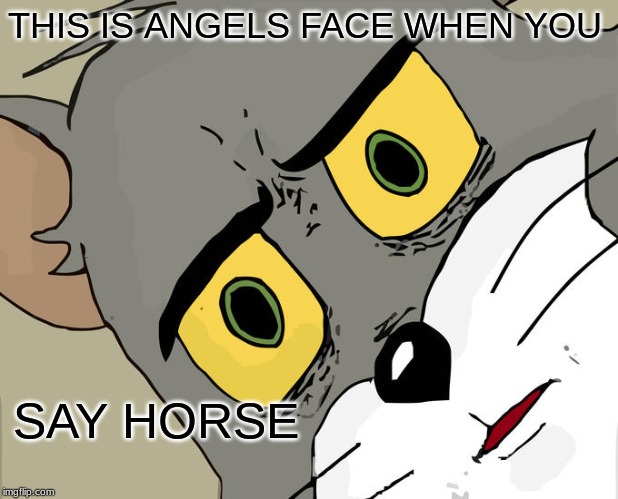 Unsettled Tom Meme | THIS IS ANGELS FACE WHEN YOU; SAY HORSE | image tagged in memes,unsettled tom | made w/ Imgflip meme maker
