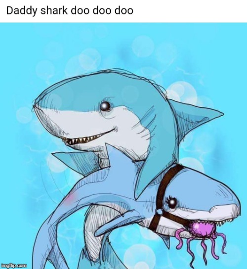 daddy shark | image tagged in daddy shark | made w/ Imgflip meme maker