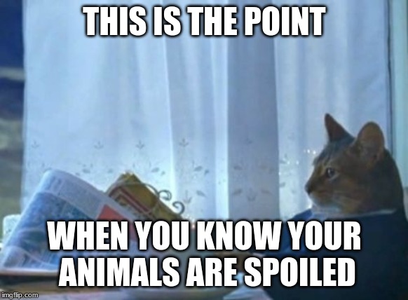 when your animals are way too spoiled | THIS IS THE POINT; WHEN YOU KNOW YOUR ANIMALS ARE SPOILED | made w/ Imgflip meme maker