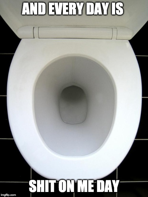 TOILET | AND EVERY DAY IS; SHIT ON ME DAY | image tagged in toilet | made w/ Imgflip meme maker
