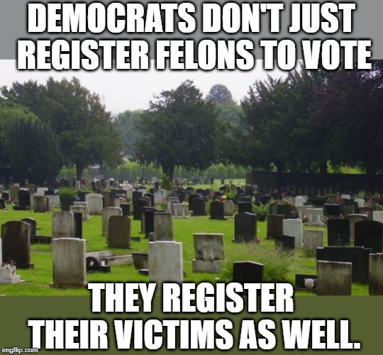 Graveyard |  DEMOCRATS DON'T JUST REGISTER FELONS TO VOTE; THEY REGISTER THEIR VICTIMS AS WELL. | image tagged in graveyard | made w/ Imgflip meme maker