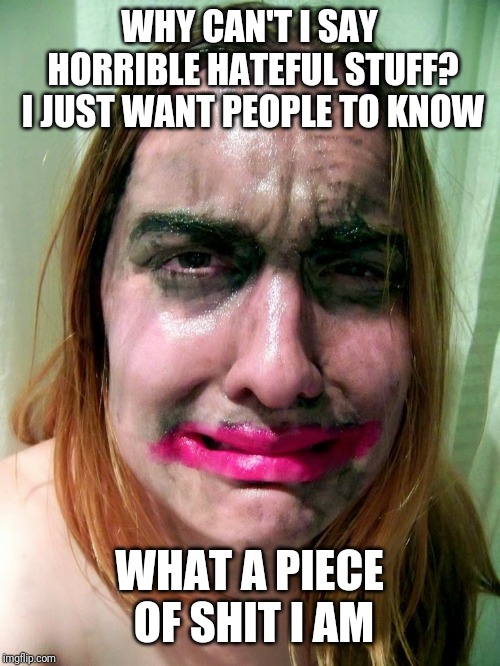 WHY CAN'T I SAY HORRIBLE HATEFUL STUFF? I JUST WANT PEOPLE TO KNOW WHAT A PIECE OF SHIT I AM | made w/ Imgflip meme maker
