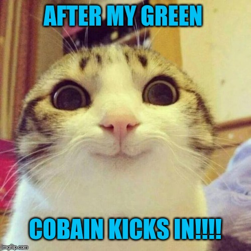 Smiling Cat Meme | AFTER MY GREEN; COBAIN KICKS IN!!!! | image tagged in memes,smiling cat | made w/ Imgflip meme maker