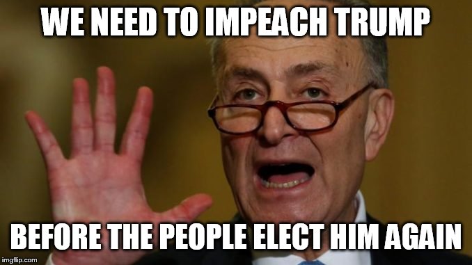 Chuck Schumer | WE NEED TO IMPEACH TRUMP; BEFORE THE PEOPLE ELECT HIM AGAIN | image tagged in chuck schumer | made w/ Imgflip meme maker