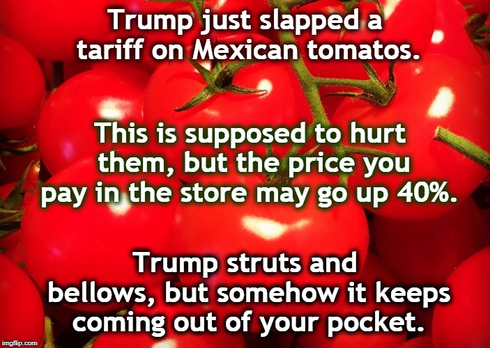 Wait till Trump gets around to autos imported from Mexico. That's got to leave a mark. | Trump just slapped a tariff on Mexican tomatos. This is supposed to hurt them, but the price you pay in the store may go up 40%. Trump struts and bellows, but somehow it keeps coming out of your pocket. | image tagged in trump,tariff,mexico | made w/ Imgflip meme maker
