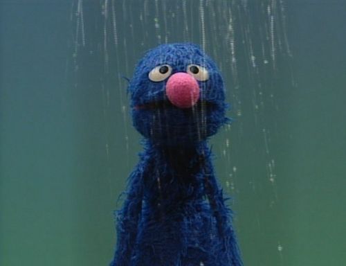 Grover in the Rain Blank Meme Template