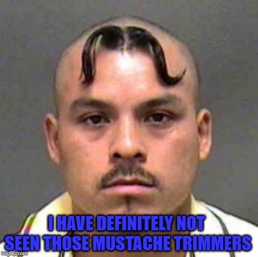 Mustache Haircut | I HAVE DEFINITELY NOT SEEN THOSE MUSTACHE TRIMMERS | image tagged in mustache haircut | made w/ Imgflip meme maker