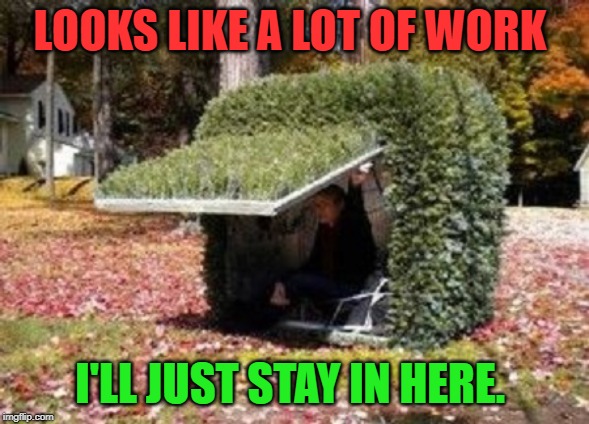 hiding in a bush | LOOKS LIKE A LOT OF WORK I'LL JUST STAY IN HERE. | image tagged in hiding in a bush | made w/ Imgflip meme maker