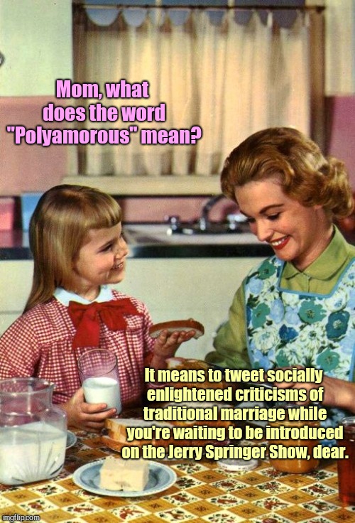 What does it mean, mom? | Mom, what does the word "Polyamorous" mean? It means to tweet socially enlightened criticisms of traditional marriage while you're waiting to be introduced on the Jerry Springer Show, dear. | image tagged in vintage mom and daughter,liberalism,humor,family life | made w/ Imgflip meme maker