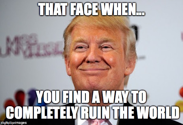 Donald trump approves | THAT FACE WHEN... YOU FIND A WAY TO COMPLETELY RUIN THE WORLD | image tagged in donald trump approves | made w/ Imgflip meme maker