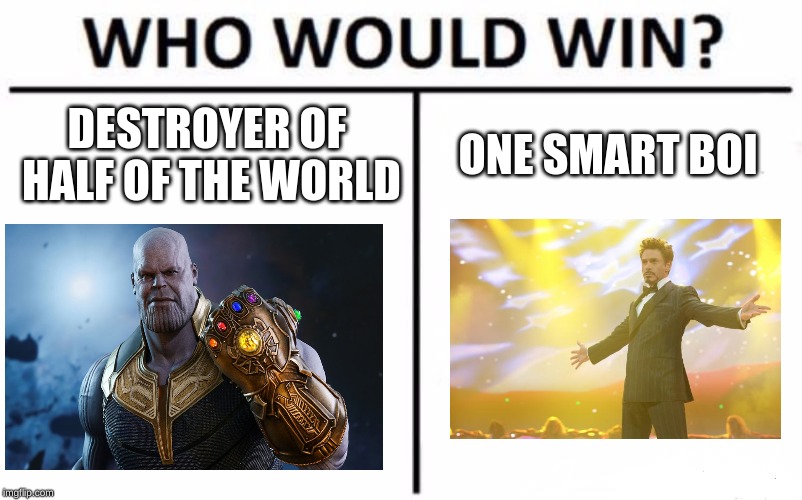 Endgame | DESTROYER OF HALF OF THE WORLD; ONE SMART BOI | image tagged in memes,who would win | made w/ Imgflip meme maker