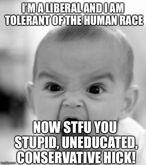 Angry Baby Meme | I’M A LIBERAL AND I AM TOLERANT OF THE HUMAN RACE; NOW STFU YOU STUPID, UNEDUCATED, CONSERVATIVE HICK! | image tagged in memes,angry baby,liberal hypocrisy,democrats | made w/ Imgflip meme maker
