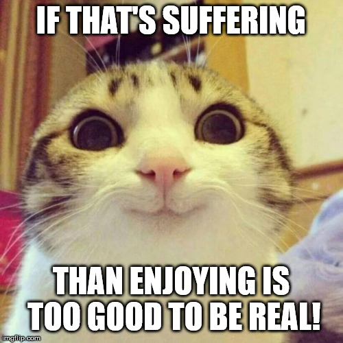 Smiling Cat Meme | IF THAT'S SUFFERING THAN ENJOYING IS TOO GOOD TO BE REAL! | image tagged in memes,smiling cat | made w/ Imgflip meme maker