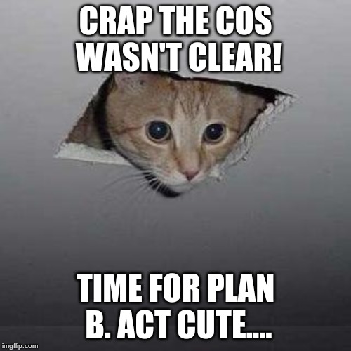 Ceiling Cat Meme | CRAP THE COS WASN'T CLEAR! TIME FOR PLAN B. ACT CUTE.... | image tagged in memes,ceiling cat | made w/ Imgflip meme maker