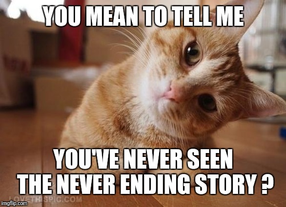 Curious Question Cat | YOU MEAN TO TELL ME YOU'VE NEVER SEEN THE NEVER ENDING STORY ? | image tagged in curious question cat | made w/ Imgflip meme maker