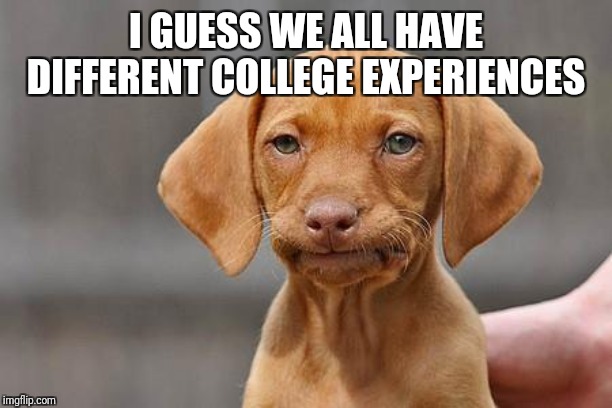 Dissapointed puppy | I GUESS WE ALL HAVE DIFFERENT COLLEGE EXPERIENCES | image tagged in dissapointed puppy | made w/ Imgflip meme maker