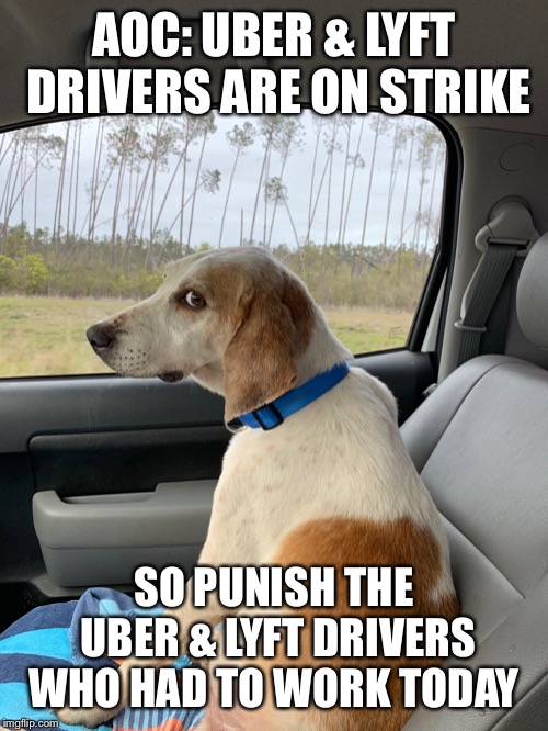 Side Eye Dog | AOC: UBER & LYFT DRIVERS ARE ON STRIKE; SO PUNISH THE UBER & LYFT DRIVERS WHO HAD TO WORK TODAY | image tagged in side eye dog | made w/ Imgflip meme maker