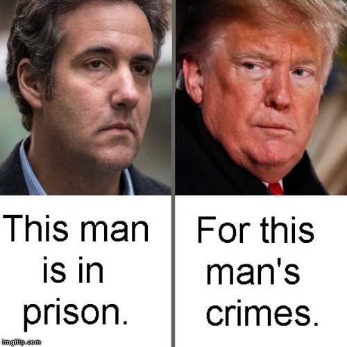 Donald Trump is an Unindicted Criminal Co-Conspirator | image tagged in criminal,impeach trump,conman,liar,government corruption,traitor | made w/ Imgflip meme maker