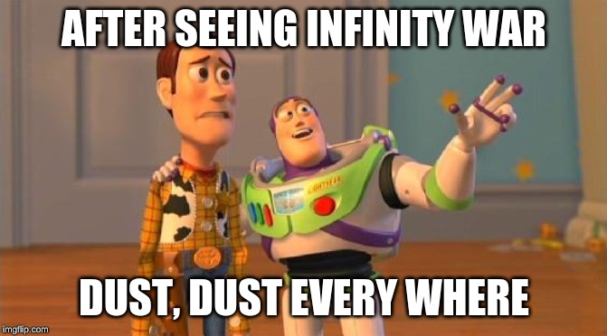 TOYSTORY EVERYWHERE | AFTER SEEING INFINITY WAR; DUST, DUST EVERY WHERE | image tagged in toystory everywhere | made w/ Imgflip meme maker