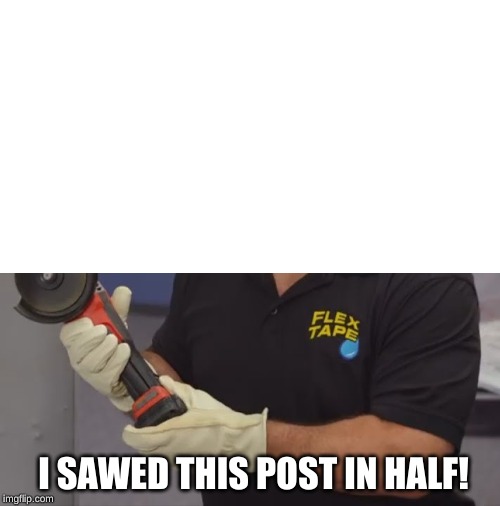 BZZZZZZZZZZZZZZZZZZZZZZZZZZ | I SAWED THIS POST IN HALF! | image tagged in phil swift flex tape | made w/ Imgflip meme maker