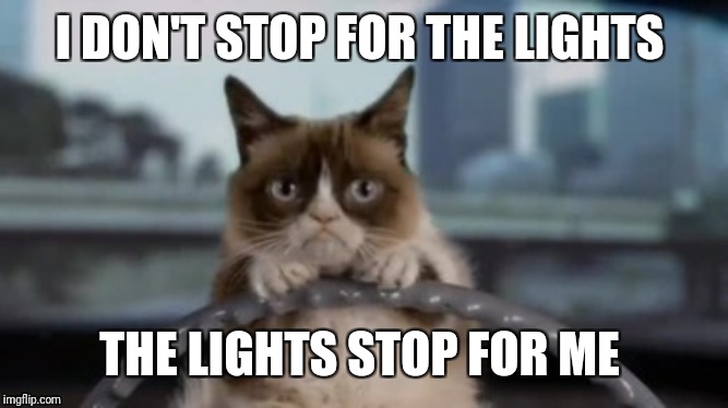 Grumpy cat driving | I DON'T STOP FOR THE LIGHTS THE LIGHTS STOP FOR ME | image tagged in grumpy cat driving | made w/ Imgflip meme maker