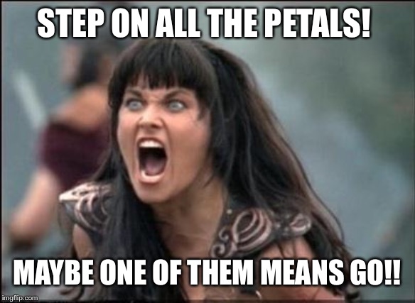 Angry Xena | STEP ON ALL THE PETALS! MAYBE ONE OF THEM MEANS GO!! | image tagged in angry xena | made w/ Imgflip meme maker