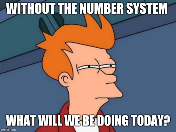 Futurama Fry Meme | WITHOUT THE NUMBER SYSTEM; WHAT WILL WE BE DOING TODAY? | image tagged in memes,futurama fry | made w/ Imgflip meme maker