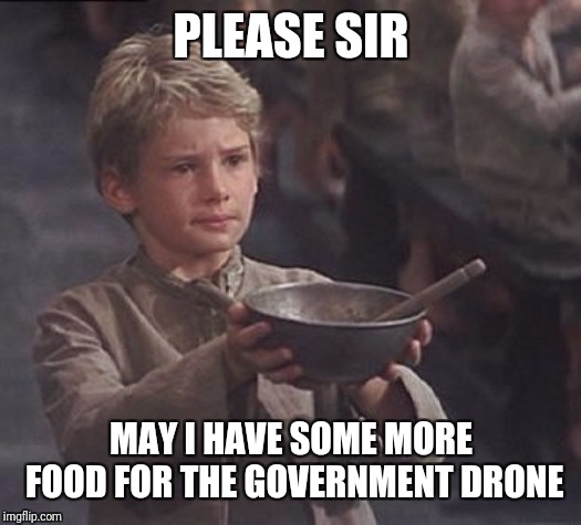 Please sir may I have some more | PLEASE SIR MAY I HAVE SOME MORE FOOD FOR THE GOVERNMENT DRONE | image tagged in please sir may i have some more | made w/ Imgflip meme maker