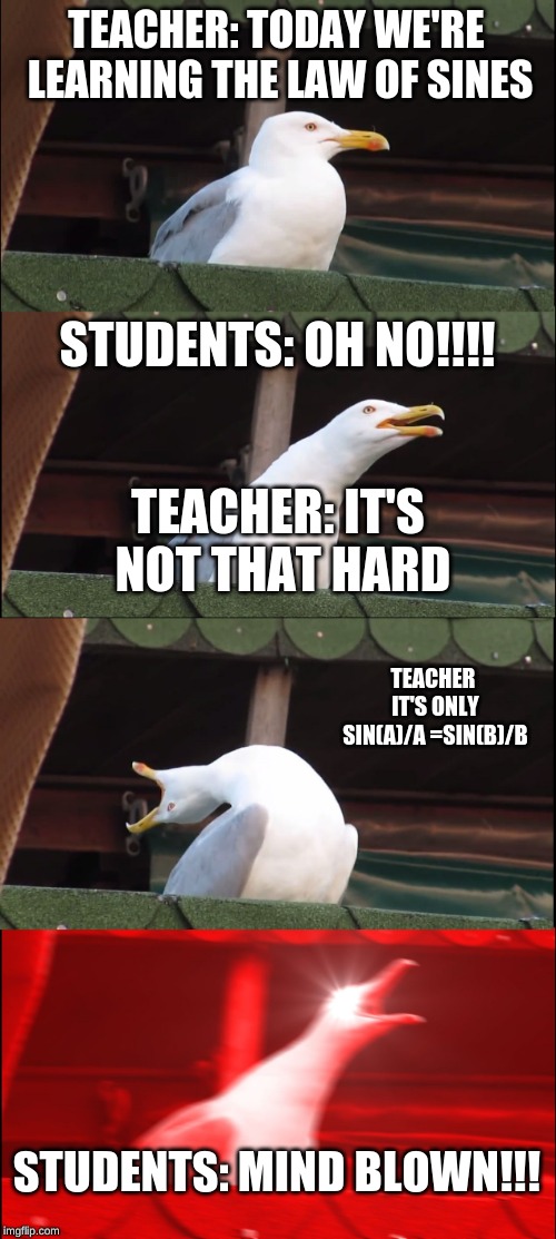 Inhaling Seagull Meme | TEACHER: TODAY WE'RE LEARNING THE LAW OF SINES; STUDENTS: OH NO!!!! TEACHER: IT'S NOT THAT HARD; TEACHER IT'S ONLY SIN(A)/A =SIN(B)/B; STUDENTS: MIND BLOWN!!! | image tagged in memes,inhaling seagull | made w/ Imgflip meme maker