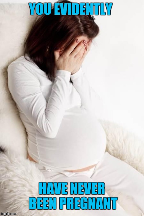 pregnant hormonal | YOU EVIDENTLY HAVE NEVER BEEN PREGNANT | image tagged in pregnant hormonal | made w/ Imgflip meme maker