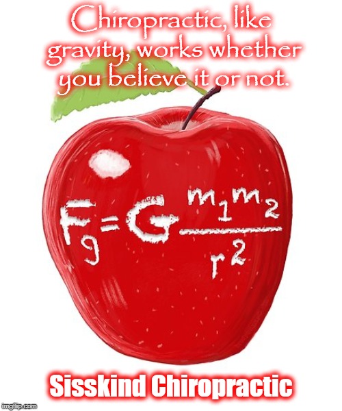 Gravity | Chiropractic, like gravity, works whether you believe it or not. Sisskind Chiropractic | image tagged in gravity | made w/ Imgflip meme maker