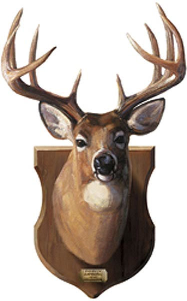 Deer Head On Wall Blank Meme Template