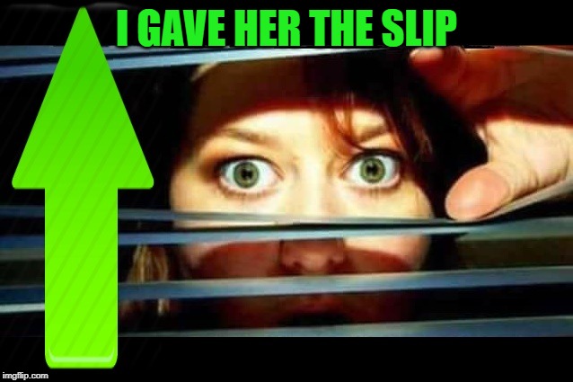 thumbs up | I GAVE HER THE SLIP | image tagged in thumbs up | made w/ Imgflip meme maker