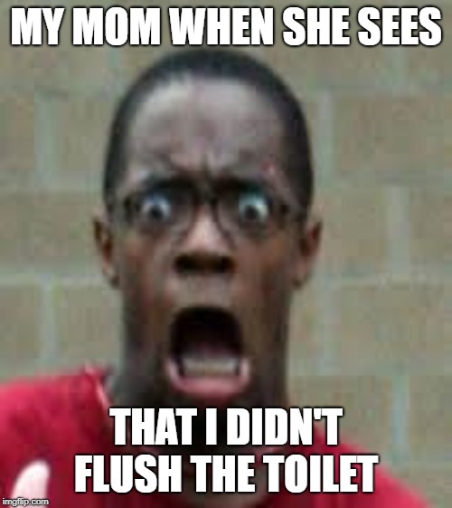 Scared Black Guy | MY MOM WHEN SHE SEES; THAT I DIDN'T FLUSH THE TOILET | image tagged in scared black guy | made w/ Imgflip meme maker